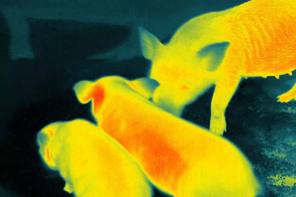 Applications of Infrared Thermal Imaging for Temperature Measurement